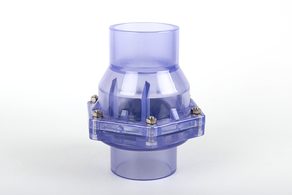 清溪镇透明翻板式止回阀